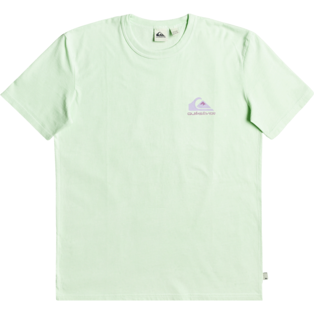 MINERAL SS TEE